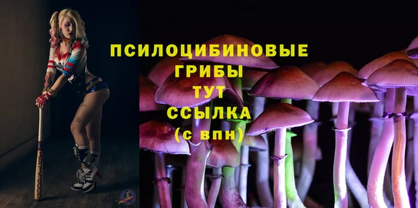ешки Слюдянка