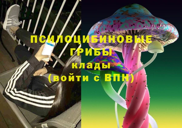 бошки Володарск