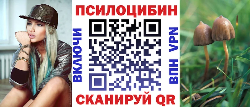 Галлюциногенные грибы прущие грибы  Купить  Гай 